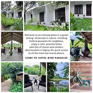 https://hotel-bird-paradise.kandyhotelsnow.com