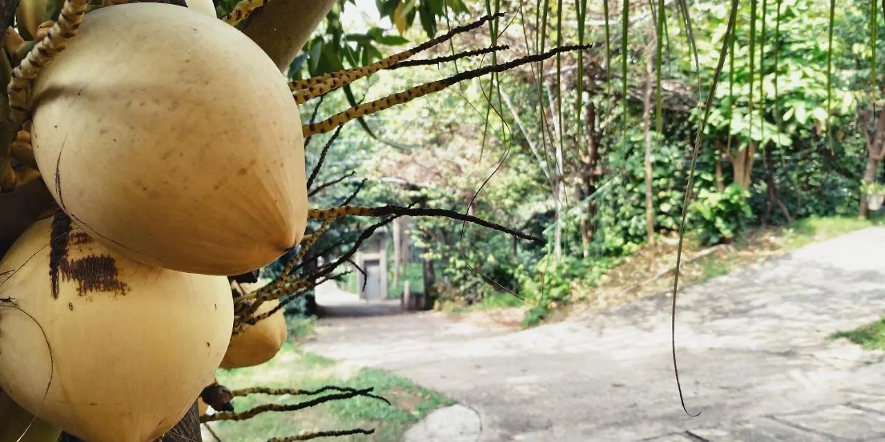 Colombo Hotel By Colombo Village